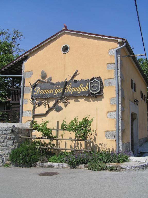 Guesthouse Domacija Sajna Sežana Esterno foto